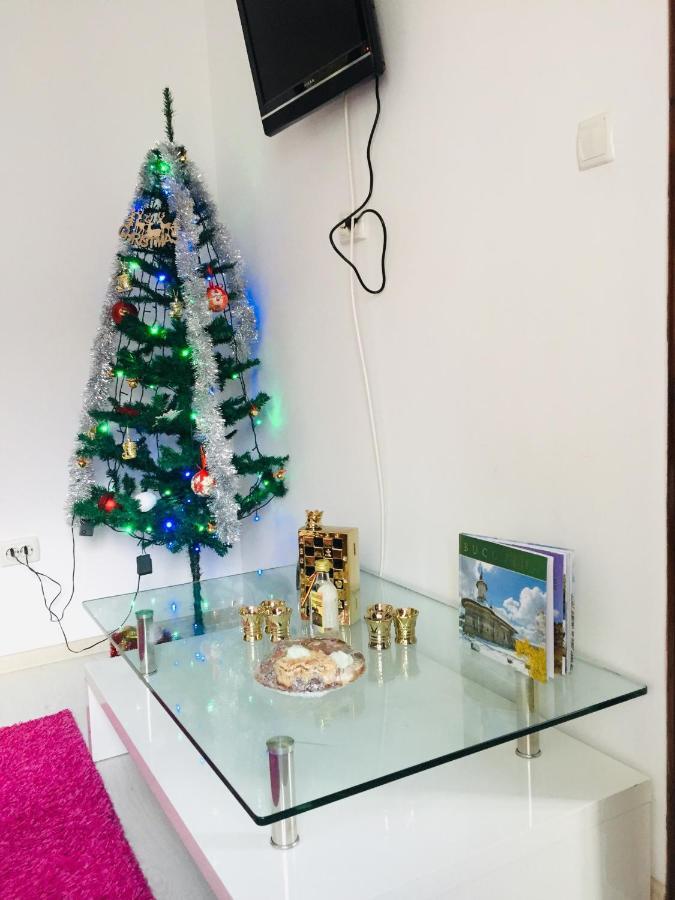 Alessia Residence Campulung Moldovenesc Luaran gambar