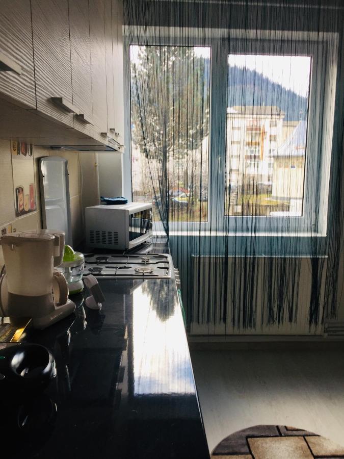 Alessia Residence Campulung Moldovenesc Luaran gambar